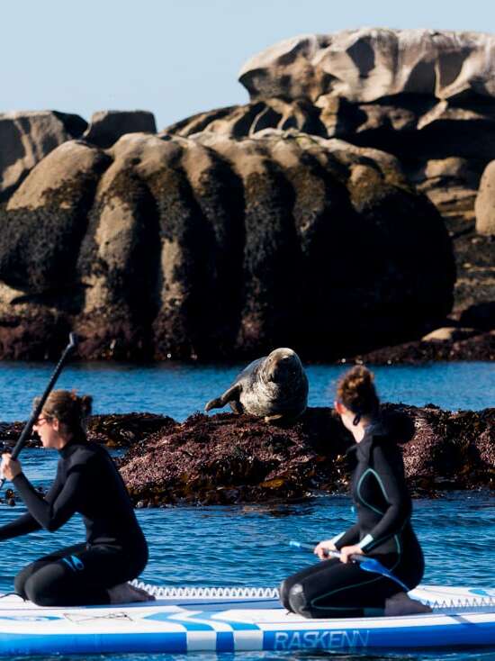 Les enfants de la côte - Nautisme