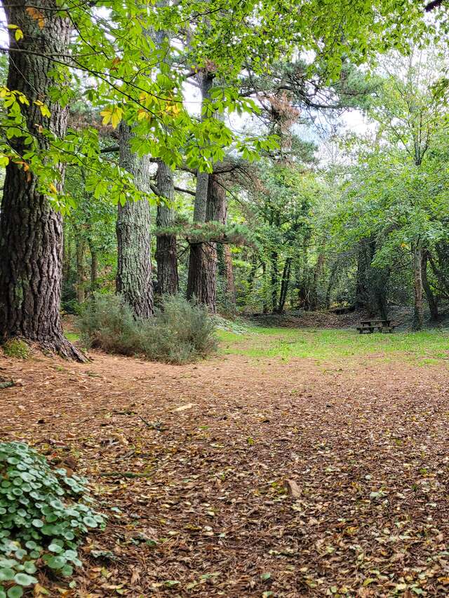 Circuit la Fontaine et le Gourret