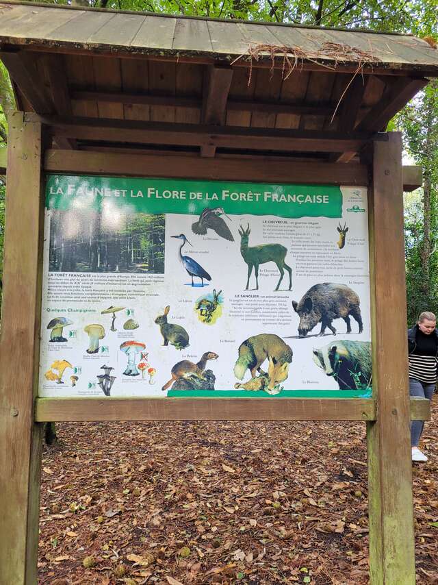 Circuit la Fontaine et le Gourret