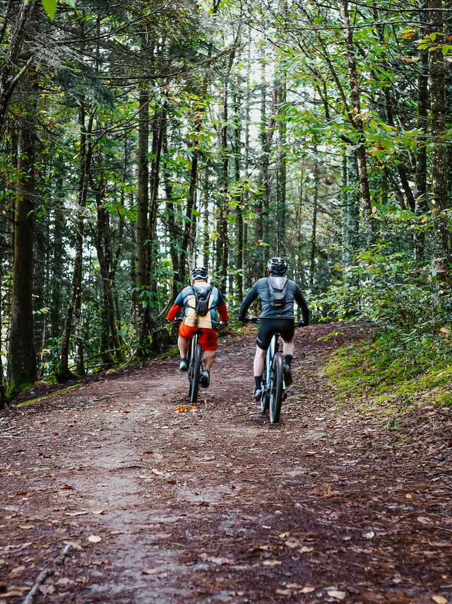 Boucle VTT n°2 Combrit