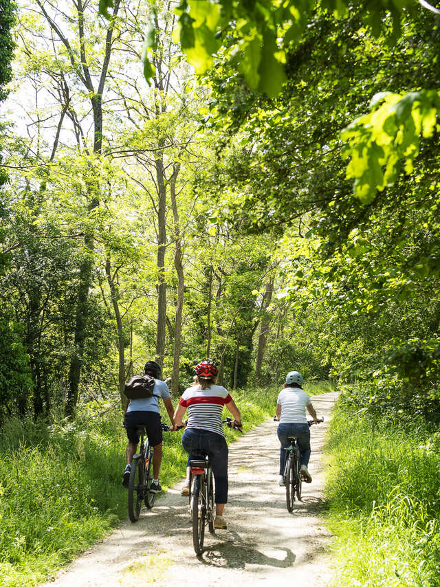 Circuit vélo sur Le Juch