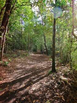 Circuit le bois de Roscouré