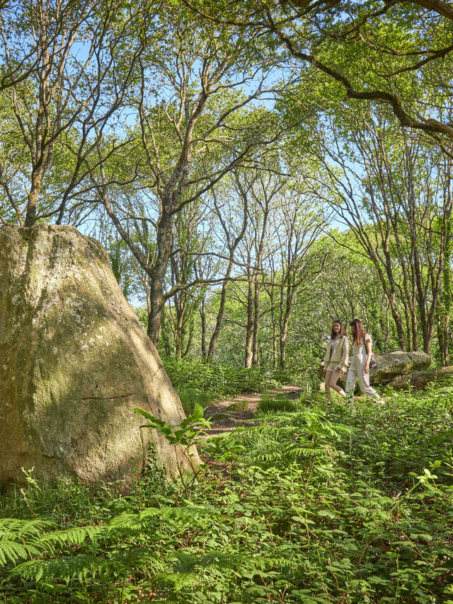 Boucle VTT n°5 Saint-Kodelig