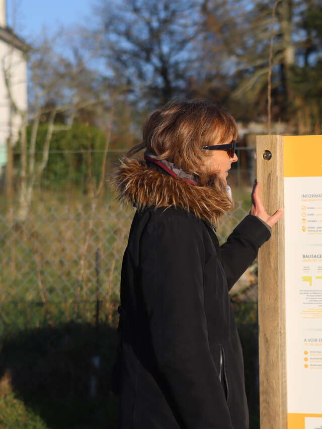 Circuit de sources en lavoir