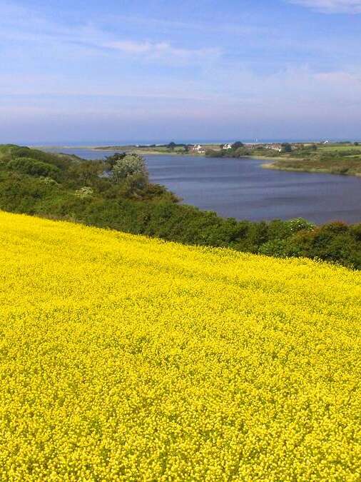 Circuit l'Étang de Trunvel