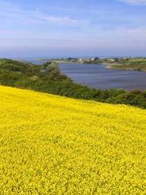 Circuit l'Étang de Trunvel
