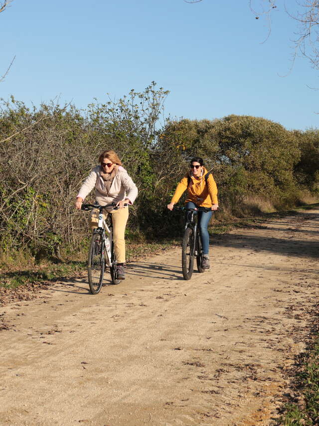 Itinéraire cyclable du Train Birinik n°2902 - Pont-l'Abbé - Saint-Guénolé