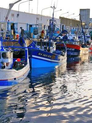 Liaison Le Bourg - Saint-Guénolé