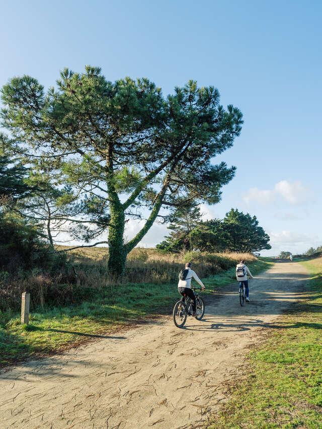 Boucle VTT n°2 Combrit