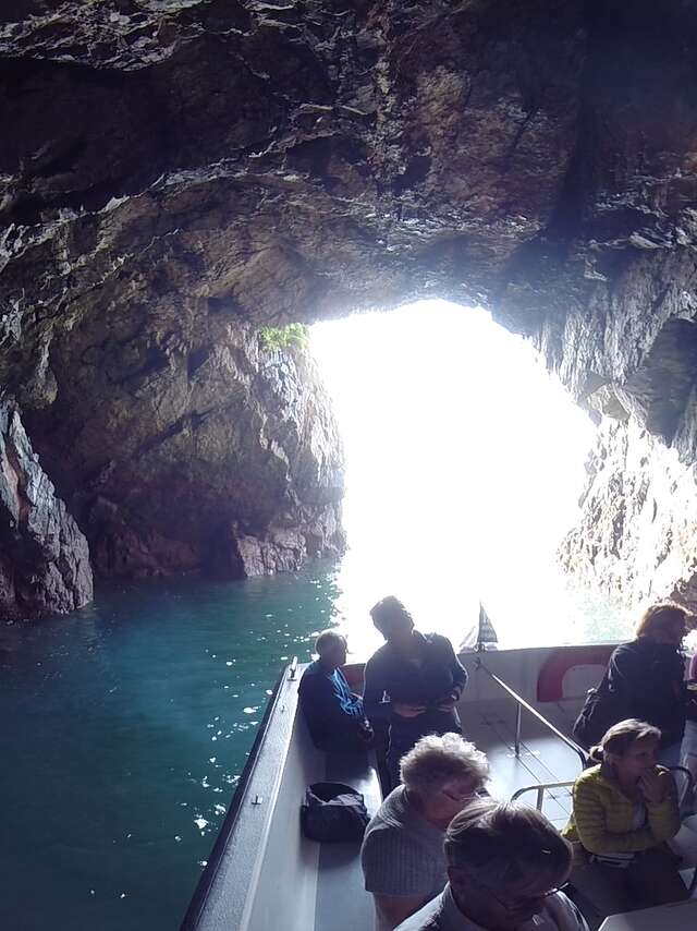 Vedettes Sirènes