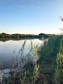 Boucle VTT n° 4 des étangs