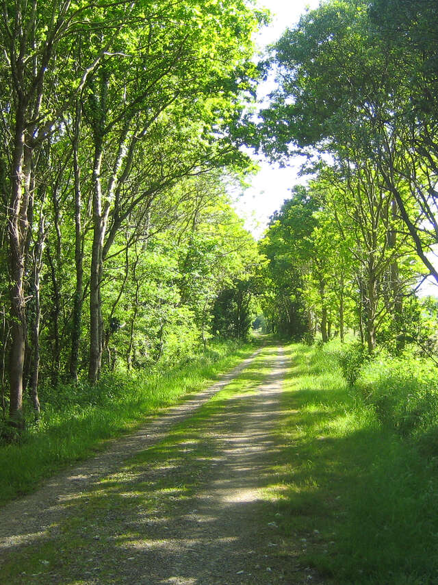 Boucle n°8 Tro Ar Gumun