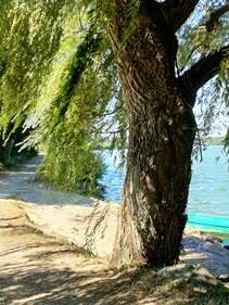 Circuit l'Etang du Moulin Neuf