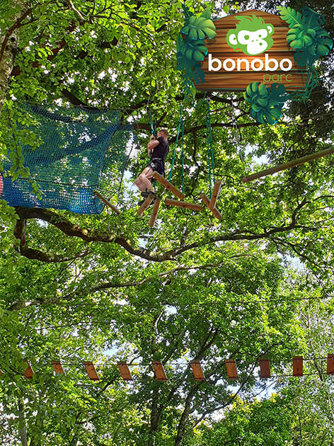 Bonobo Parc
