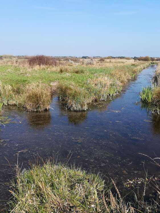 Circuit le marais de Lescors
