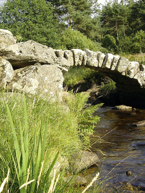 Pont de Senoueix