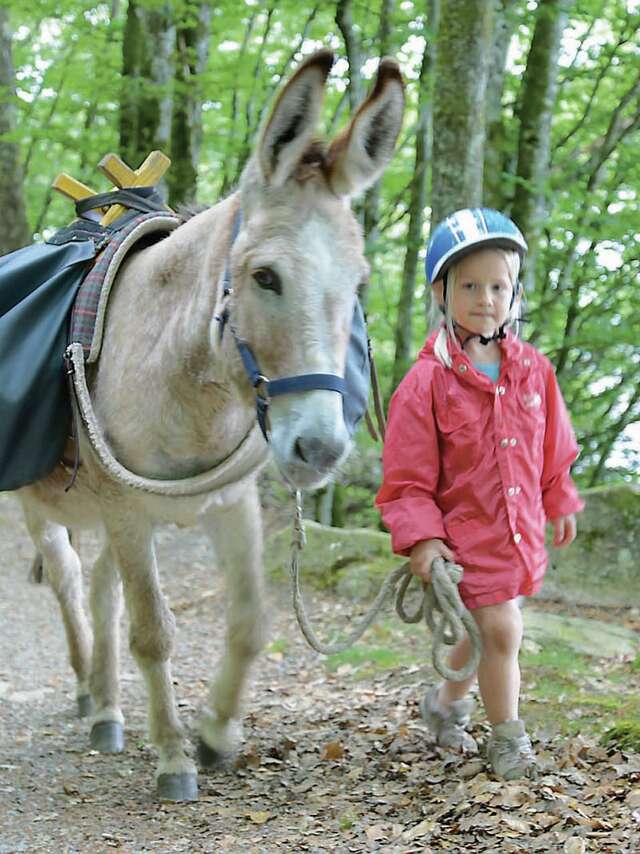 Ferme pédagogique Les Ânes de Vassivière