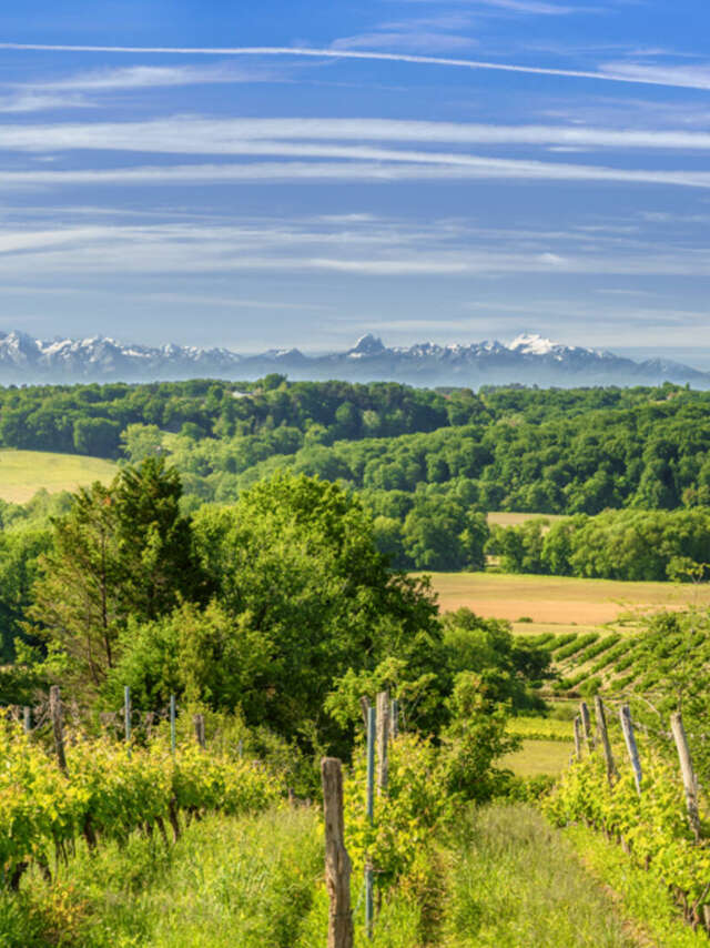 La cave des vignerons de Tursan