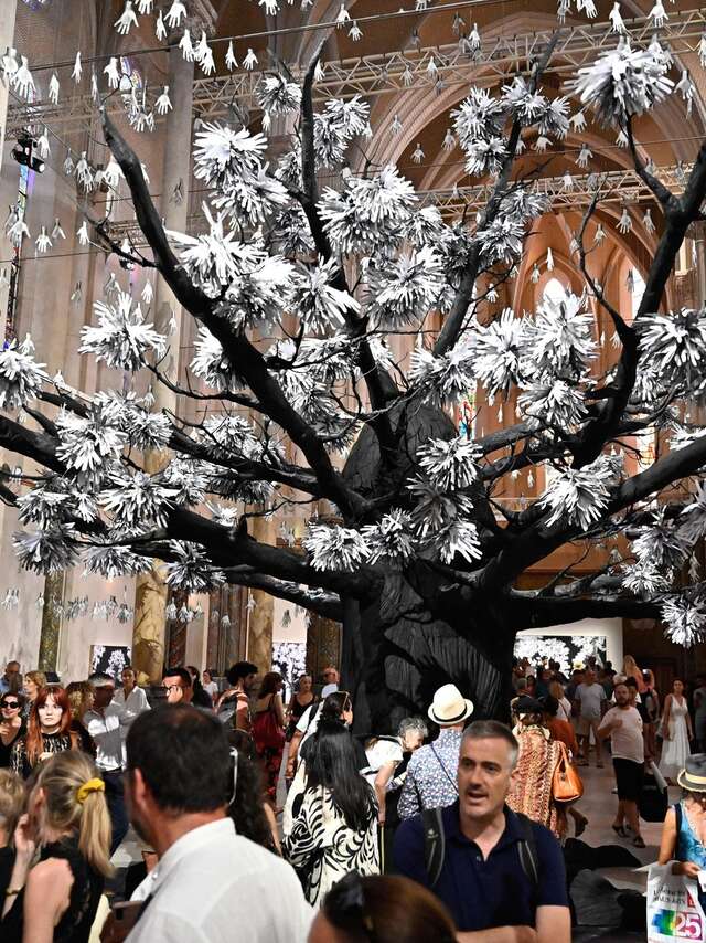 EXPOSITION "ADVENTICE" DE JR