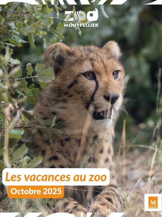 MES VACANCES AU ZOO - AUTOMNE