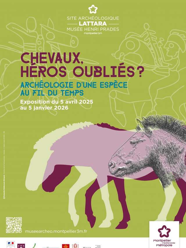 EXPOSITION "CHEVAUX, HÉROS OUBLIÉS ? ARCHÉOLOGIE D'UNE ESPÈCE AU FIL DU TEMPS"