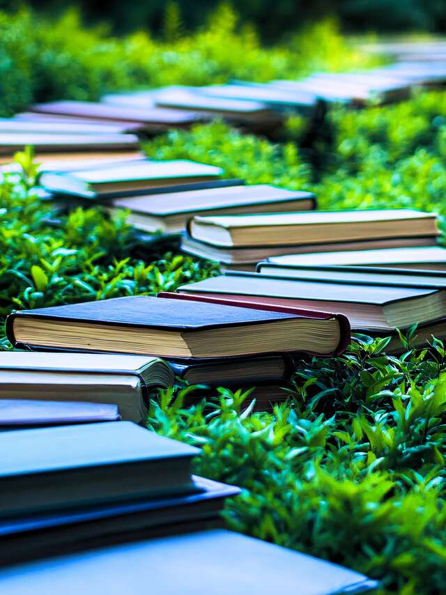 UN DIMANCHE LIVRE ET NATURE