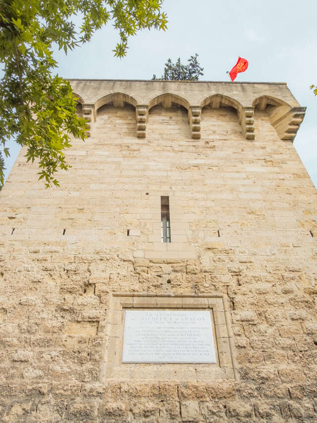MONTPELLIER Y LOS REYES DE ARAGÓN