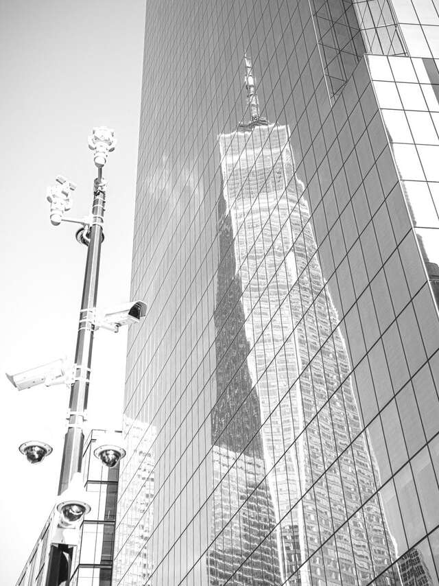 EXPOSITION NEW YORK - LIGNES SUSPENDUES