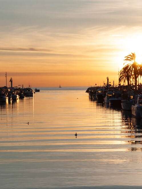 EXPOSITION : "MON LITTORAL"