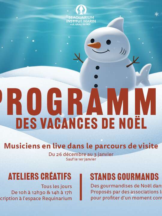VACANCES DE NOËL AU SEAQUARIUM