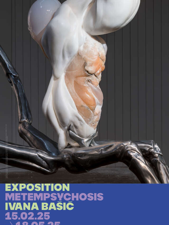 EXPOSITION METEMPSYCHOSIS, IVANA BAŠIĆ - MO.CO. PANACÉE