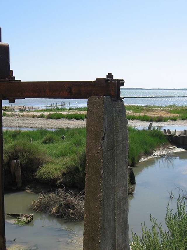 À LA DÉCOUVERTE DES SALINES : OBSERVATION DES OISEAUX ET POÉSIE