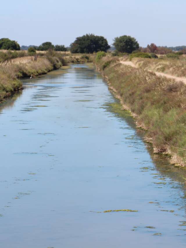 LE SITE NATUREL PROTÉGÉ DES SALINES DE VILLENEUVE