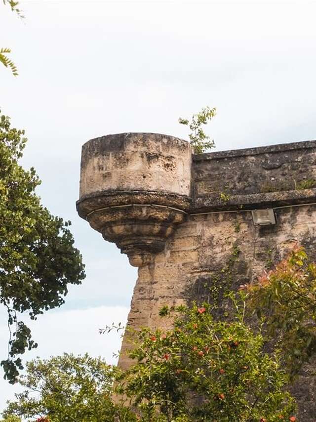 1622, LE SIÈGE DE MONTPELLIER ET LA CITADELLE
