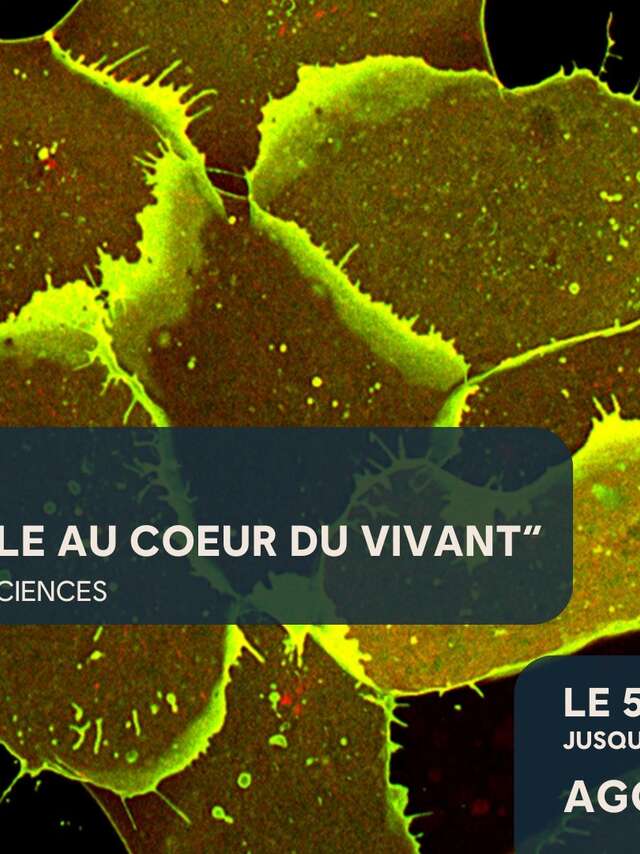 EXPOSITION "VOYAGE IMMOBILE AU CŒUR DU VIVANT"