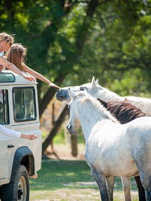 CAMARGUE AUTREMENT