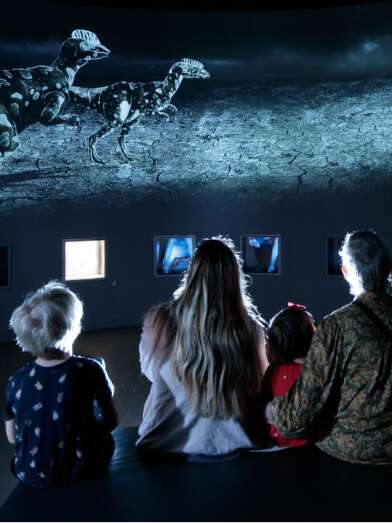 VACANCES DE NOEL AU MUSÉE DE LODÈVE