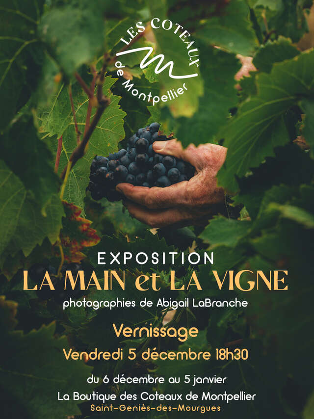 EXPOSITION LA MAIN ET LA VIGNE