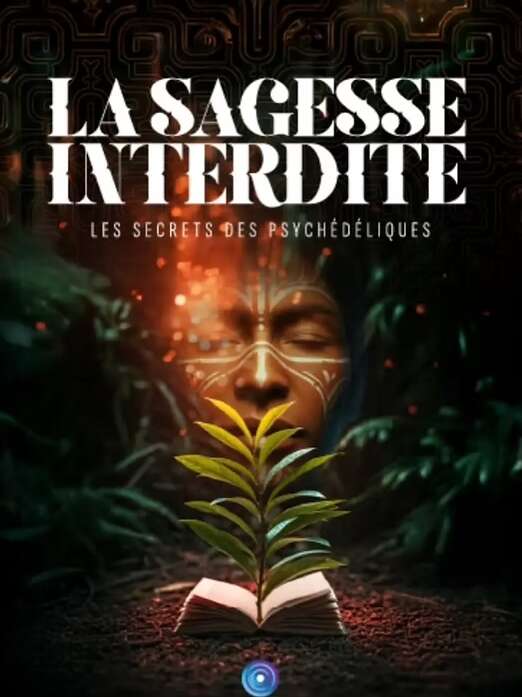 CINÉ RENCONTRE "LA SAGESSE INTERDITE" AVEC STEPHAN SCHILLINGER ET STÉPHANE ALLIX