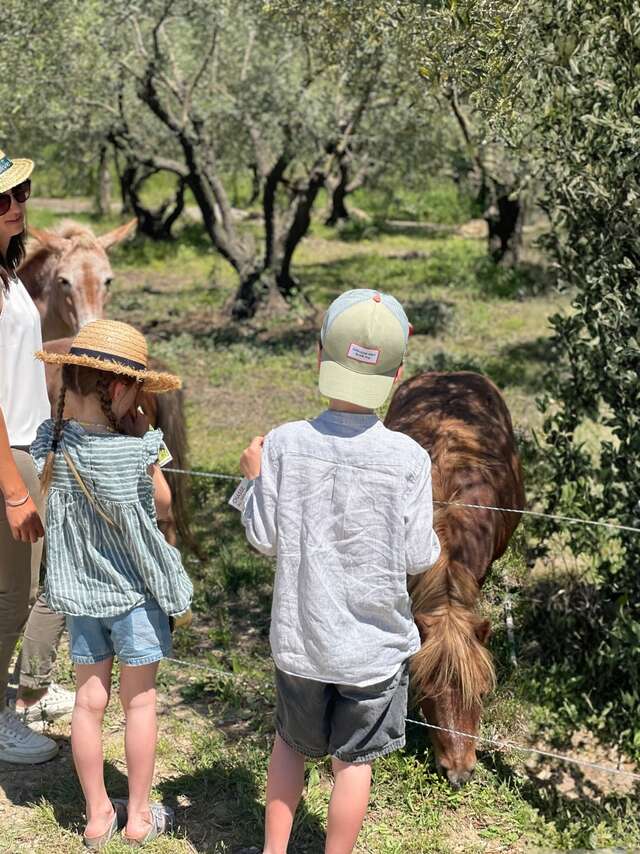 DOMAINE DE L'OULIVIE - SUR LE SENTIER DE BEBELLE
