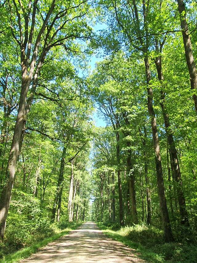 En selle pour Montrésor