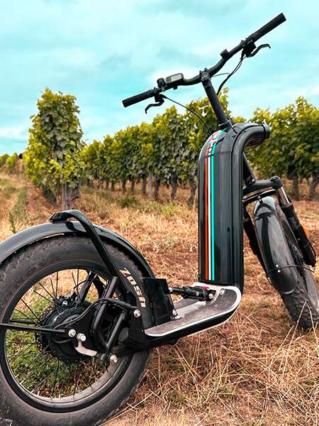 Escapade en trottinette tout-terrain O Coeur des vignes