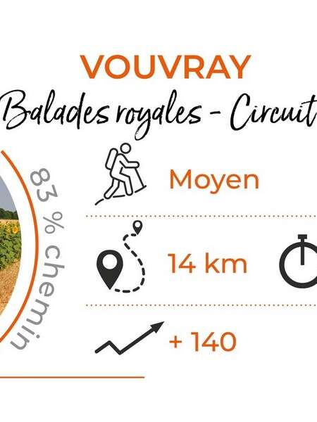Balades royales, entre Loire, vignes et coteaux - circuit 2