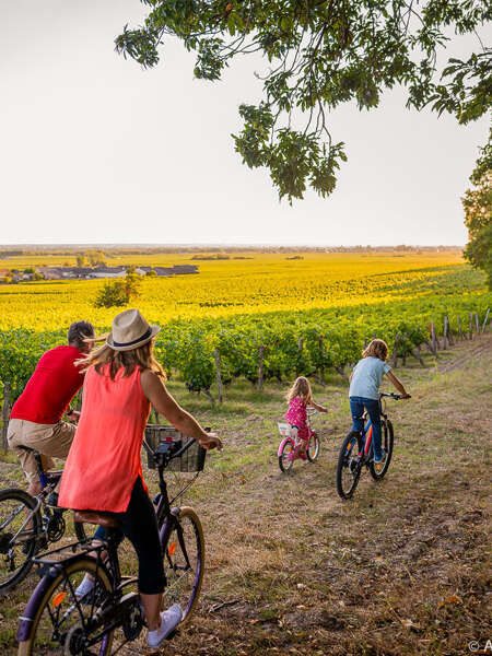 Grands crus et belles demeures - Circuit vélo n°23