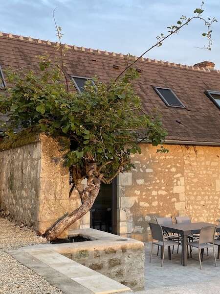 Le Kiwi, gîte avec piscine