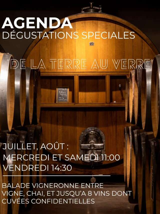 Balade vigneronne au Domaine Saparale