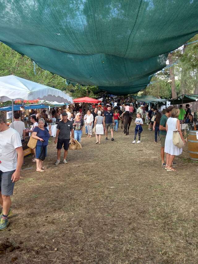 FIERA DI U TURISIMU CAMPAGNOLU