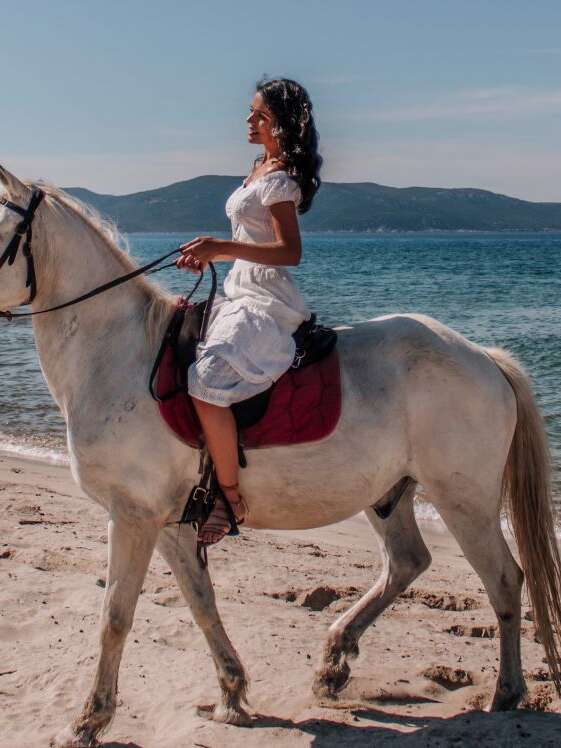CENTRE EQUESTRE ECURIES LE GOLFE