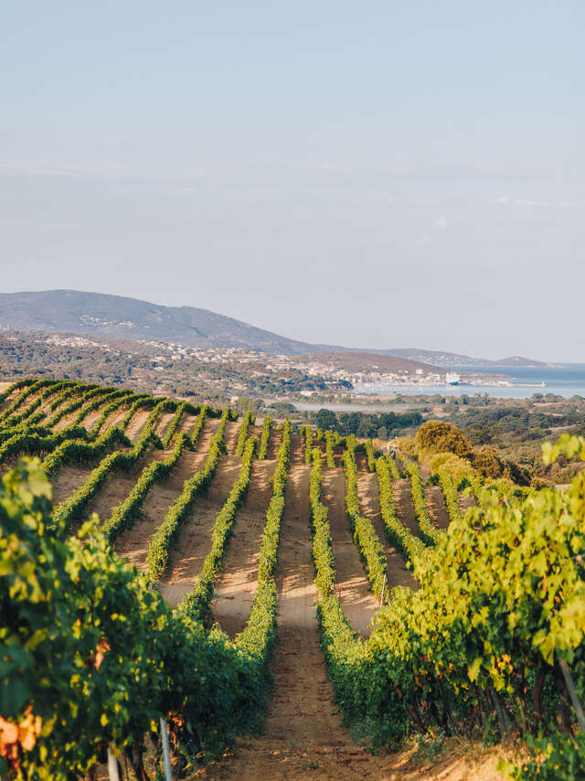 DOMAINE SANT ARMETTU