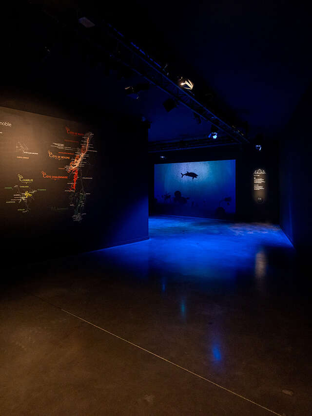 Parcours de visite - Cité des Climats et vins de Bourgogne Beaune